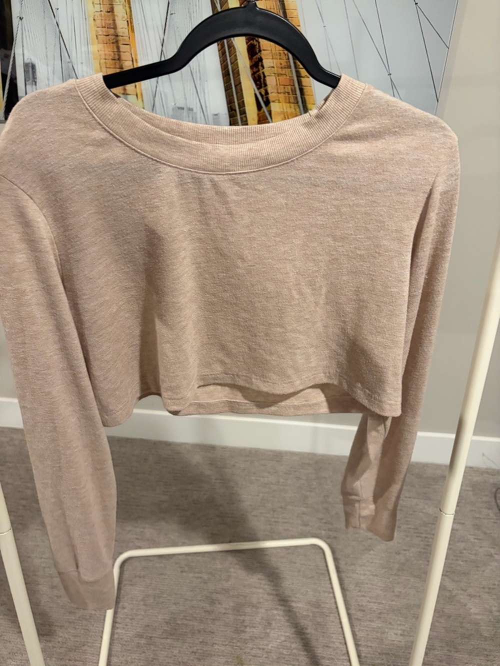 ALO Yoga Cropped Long-Sleeve Top - Blush